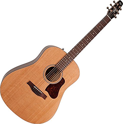 S6 Original Acoustic Guitar