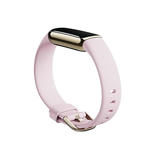 Wellness Stainless Bracelet Included