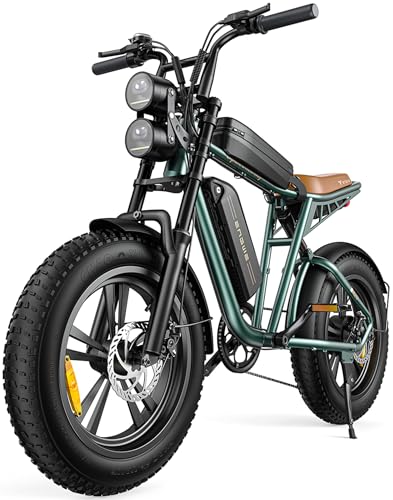 Electric Bike Adults Bike