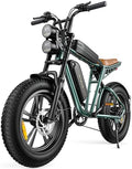 Electric Bike Adults Bike