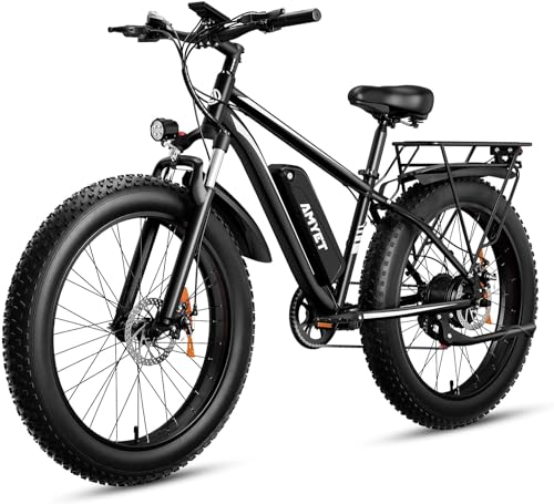 EB26 Electric Mountain Absorber