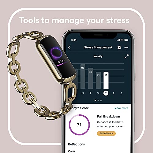 Wellness Stainless Bracelet Included