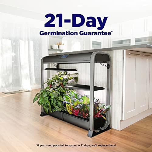 Farm 24Plus Salad Black