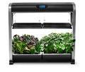 Farm 24Plus Salad Black