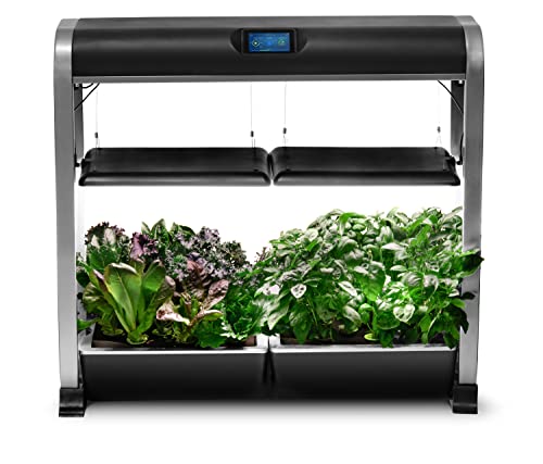 Farm 24Plus Salad Black