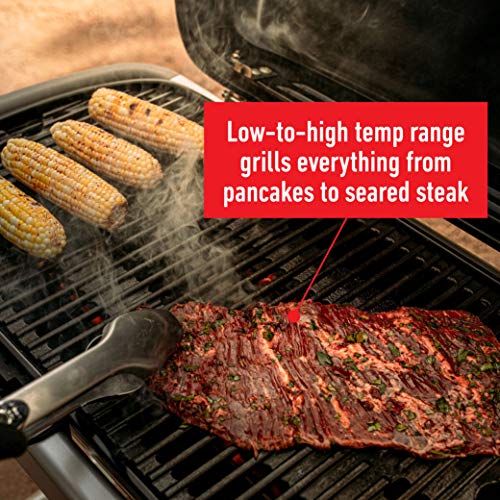 Traveler Portable Gas Grill