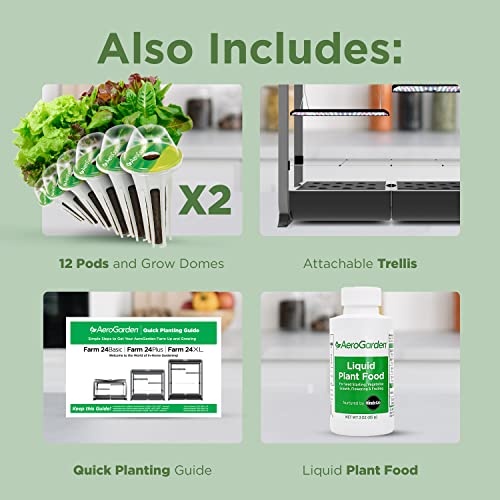 Farm 24Plus Salad Black
