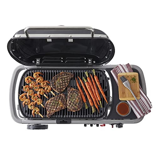 Traveler Portable Gas Grill