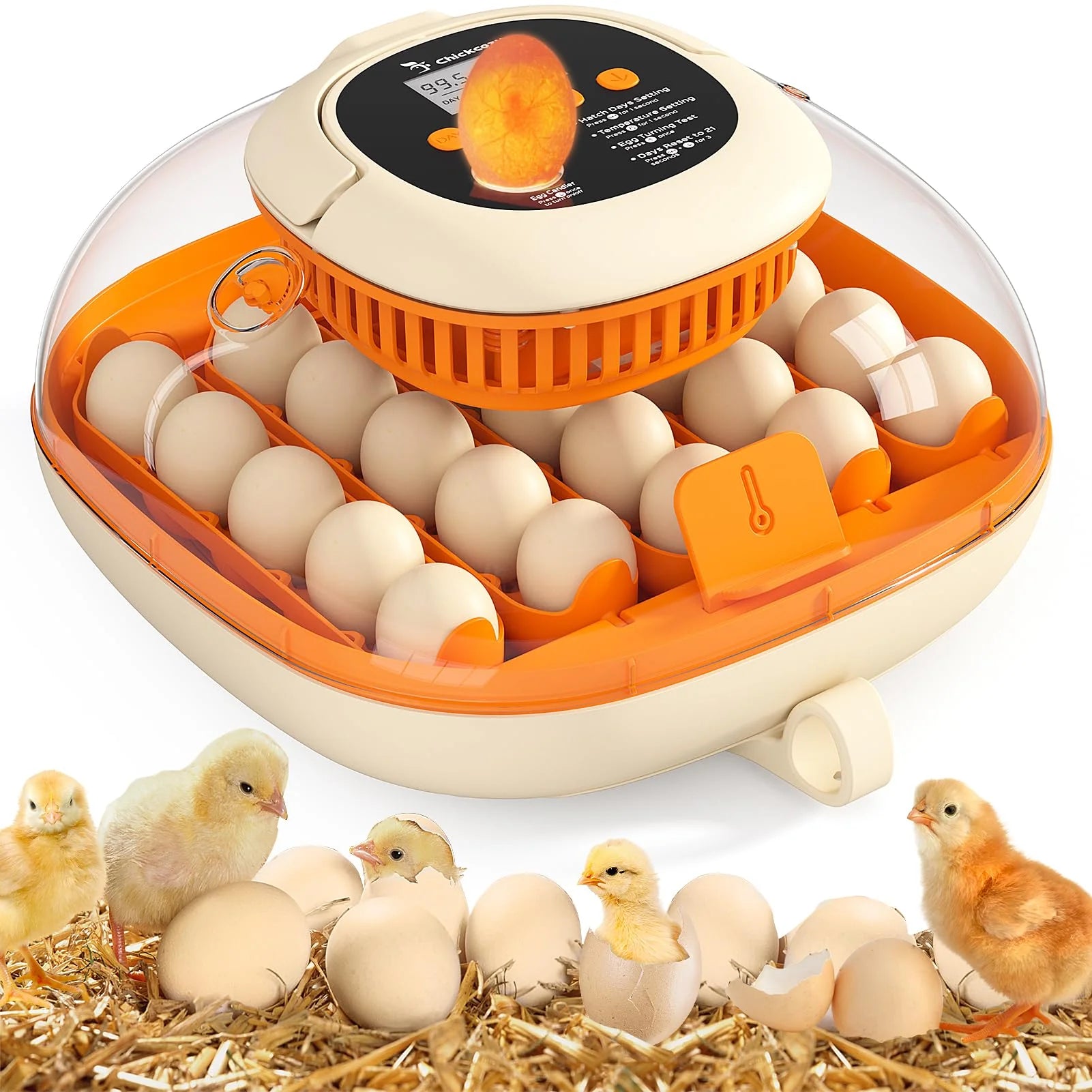 Automatic 25 Egg Incubator for Hatching Chicks